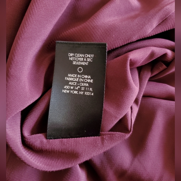 Alice + Olivia Bess Ombre Velvet Sleeveless Slip Dress Size 6 Classic Boho Chic - Picture 11 of 14